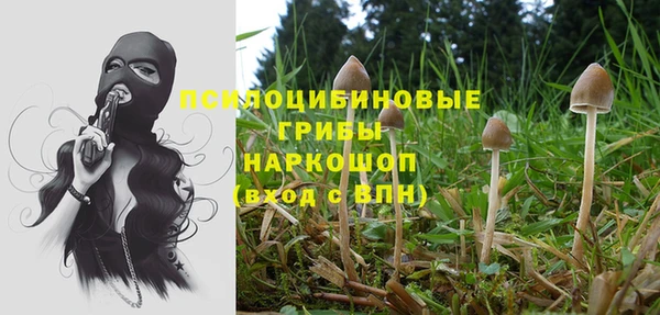 гидра Балахна