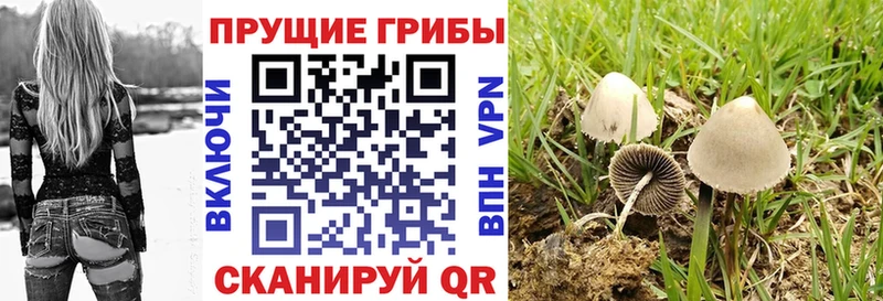 наркота  Барыш  кракен сайт  Галлюциногенные грибы GOLDEN TEACHER 
